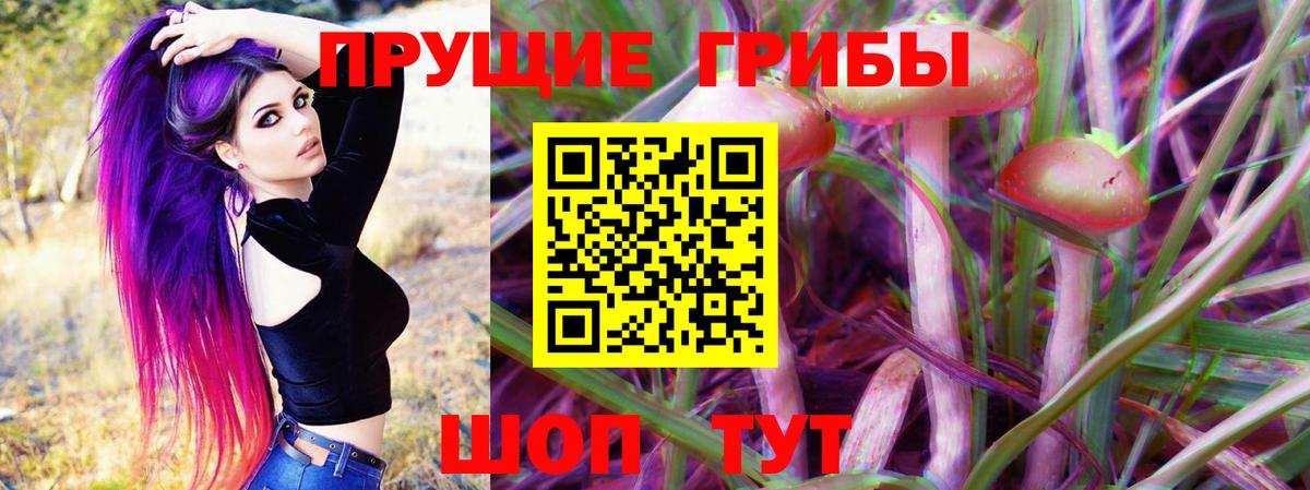 Псилоцибиновые грибы прущие грибы Михайловка