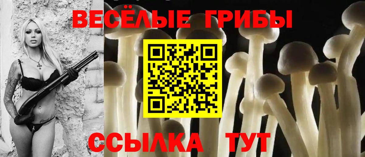 Псилоцибиновые грибы Cubensis  Галлюциногенные грибы Psilocybe  где купить наркоту  Михайловка  Вход с VPN 