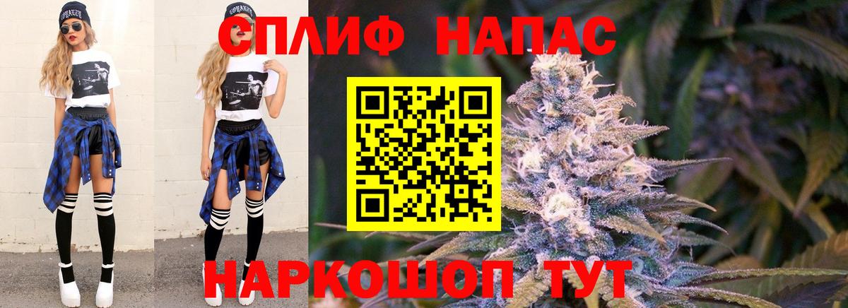 МАРИХУАНА сатива Михайловка